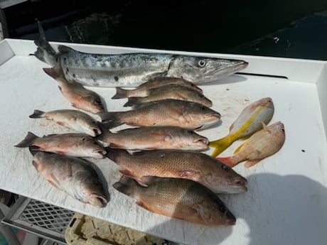 Fishing in Key West, Florida