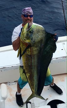 Mahi Mahi / Dorado Fishing in Key West, Florida