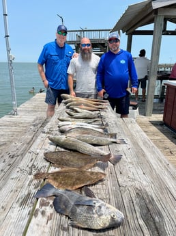 Black Drum, Flounder, Redfish, Speckled Trout Fishing in Galveston, Texas