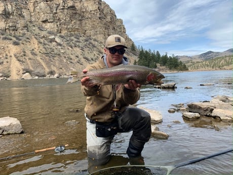 Rainbow Trout fishing in Deer Lodge, Montana