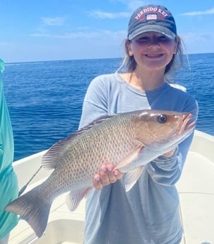 Mangrove Snapper Fishing in Pensacola, Florida