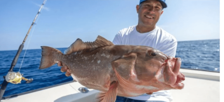 Fishing in Tierra Verde, Florida