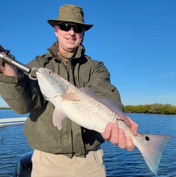 Redfish Fishing in New Smyrna Beach, Florida