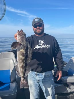 Lingcod Fishing in Garibaldi, Oregon