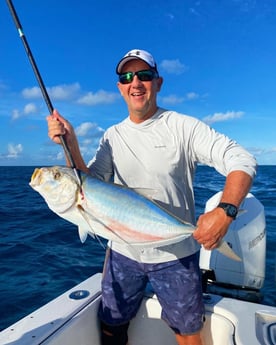 Yellowtail Amberjack Fishing in Islamorada, Florida