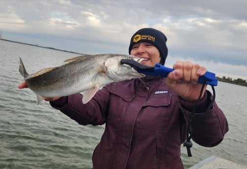 Speckled Trout / Spotted Seatrout Fishing in Galveston, Texas