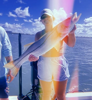 Snook fishing in Clearwater, Florida