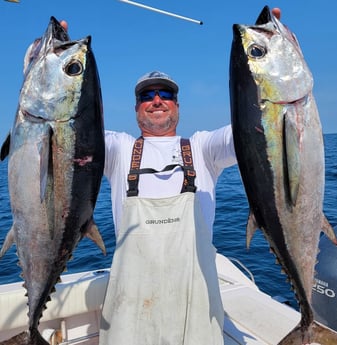 Blackfin Tuna fishing in Clearwater, Florida