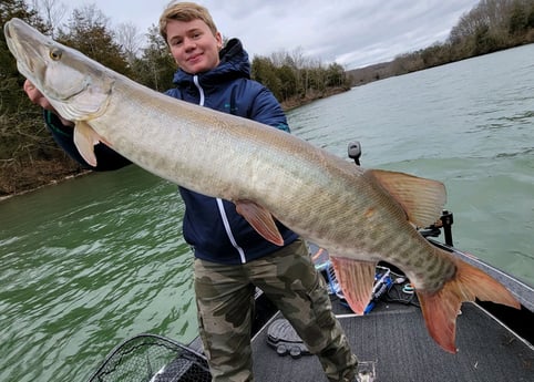 Muskie Fishing in Knoxville, Tennessee