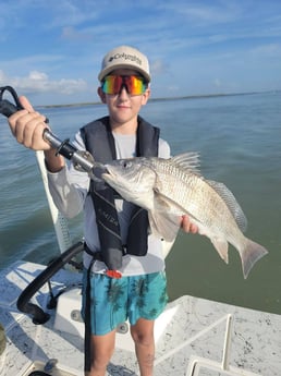 Black Drum Fishing in South Padre Island, Texas