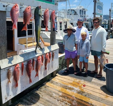 Mahi Mahi, Red Snapper, Scup Fishing in Destin, Florida