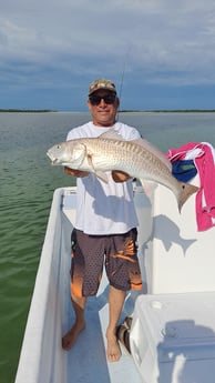 Redfish fishing in St. Petersburg, Florida