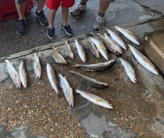 Fishing in Gulf Shores, Alabama