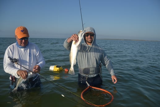 Speckled Trout / Spotted Seatrout fishing in Corpus Christi, Texas