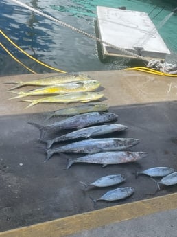 Fishing in Miami, Florida