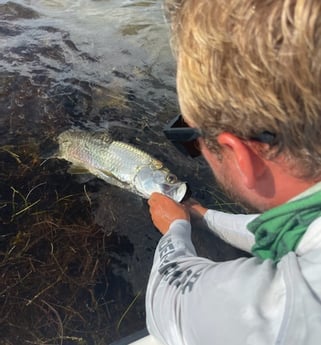 Tarpon fishing in Key West, Florida