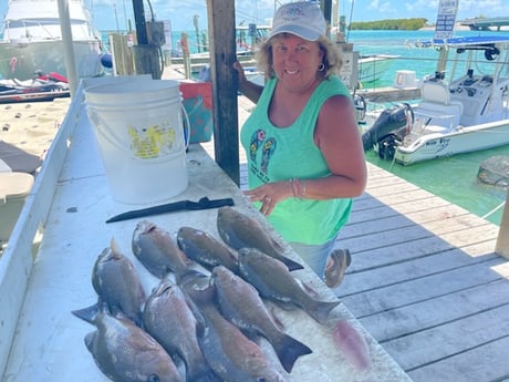 Mangrove Snapper Fishing in Islamorada, Florida