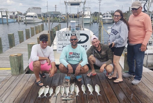 Bluefish Fishing in Hatteras, North Carolina