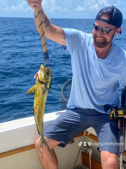 Mahi Mahi / Dorado fishing in Destin, Florida