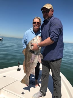 Black Drum fishing in League City, Texas