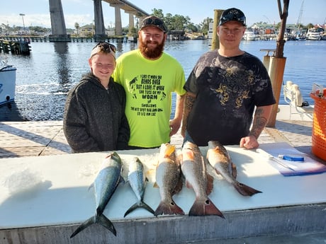 Spanish Mackerel fishing in Pensacola, Florida