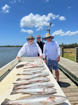 Speckled Trout / Spotted Seatrout fishing in Galveston, Texas