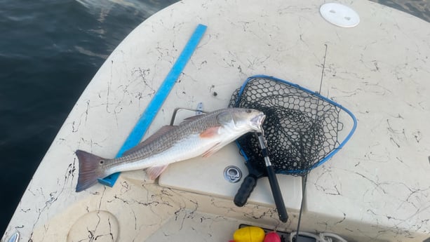 Redfish Fishing in Santa Rosa Beach, Florida