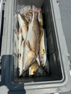 Fishing in Port Aransas, Texas