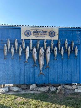 Amberjack fishing in Port Orange, Florida