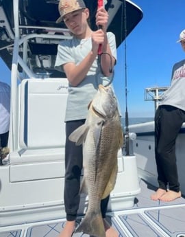 Black Drum Fishing in Galveston, Texas