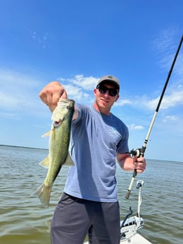 Largemouth Bass Fishing in Clearwater, Florida