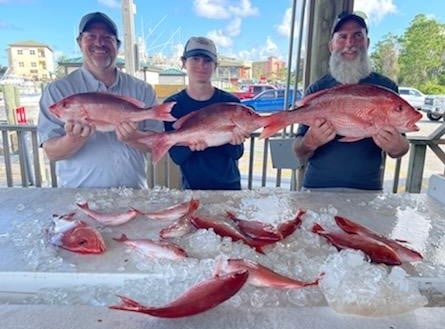 Red Snapper fishing in Orange Beach, Alabama