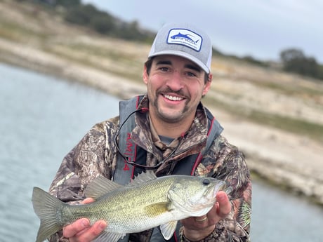 Largemouth Bass Fishing in Austin, Texas