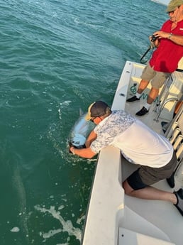 Tarpon Fishing in Key West, Florida