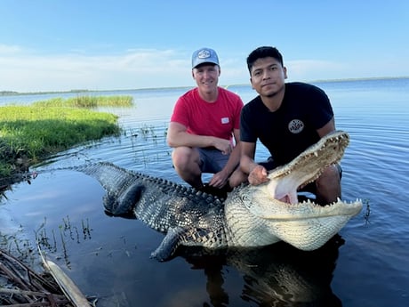 Fishing in Cape Coral, Florida