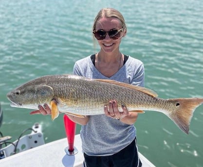 Redfish Fishing in Tampa, Florida