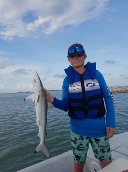 Blacktip Shark fishing in Rockport, Texas