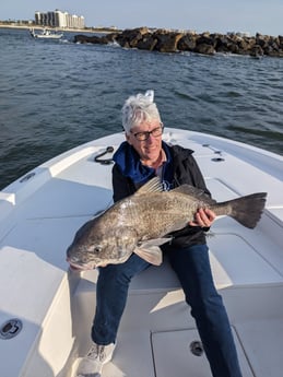 Black Drum Fishing in Pensacola, Florida