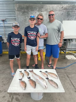 Mangrove Snapper, Redfish Fishing in Destin, Florida