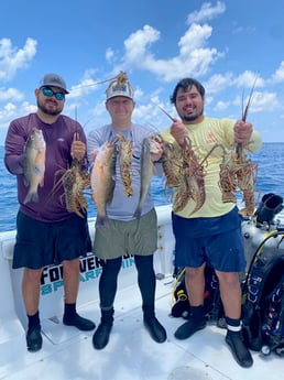 Lobster fishing in Islamorada, Florida