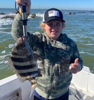 Sheepshead Fishing in Galveston, Texas