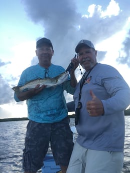 Speckled Trout / Spotted Seatrout fishing in Hudson, Florida