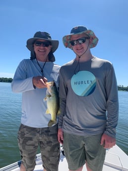 Largemouth Bass fishing in Clearwater, Florida