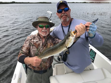 Jack Crevalle fishing in Hudson, Florida