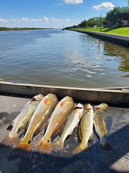 Redfish, Speckled Trout / Spotted Seatrout fishing in South Padre Island, Texas