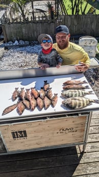 Mangrove Snapper, Sheepshead Fishing in St. Petersburg, Florida