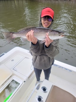 Speckled Trout / Spotted Seatrout Fishing in Mount Pleasant, South Carolina