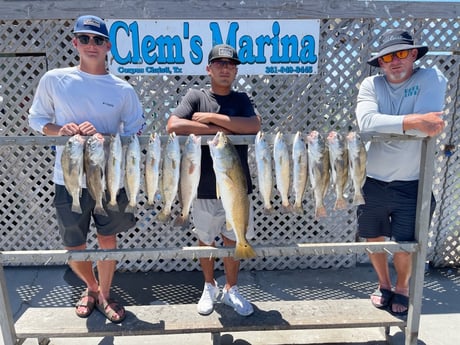 Black Drum, Redfish, Speckled Trout / Spotted Seatrout fishing in Corpus Christi, Texas