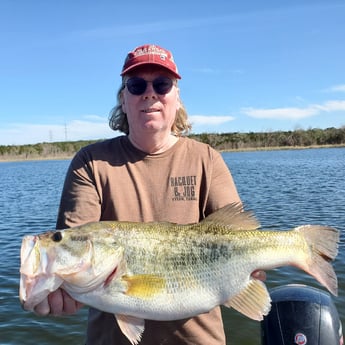 Largemouth Bass Fishing in Austin, Texas