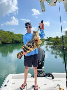 Black Grouper fishing in Key West, Florida